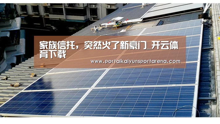 家族信托，突然火了新豪门_开云体育下载