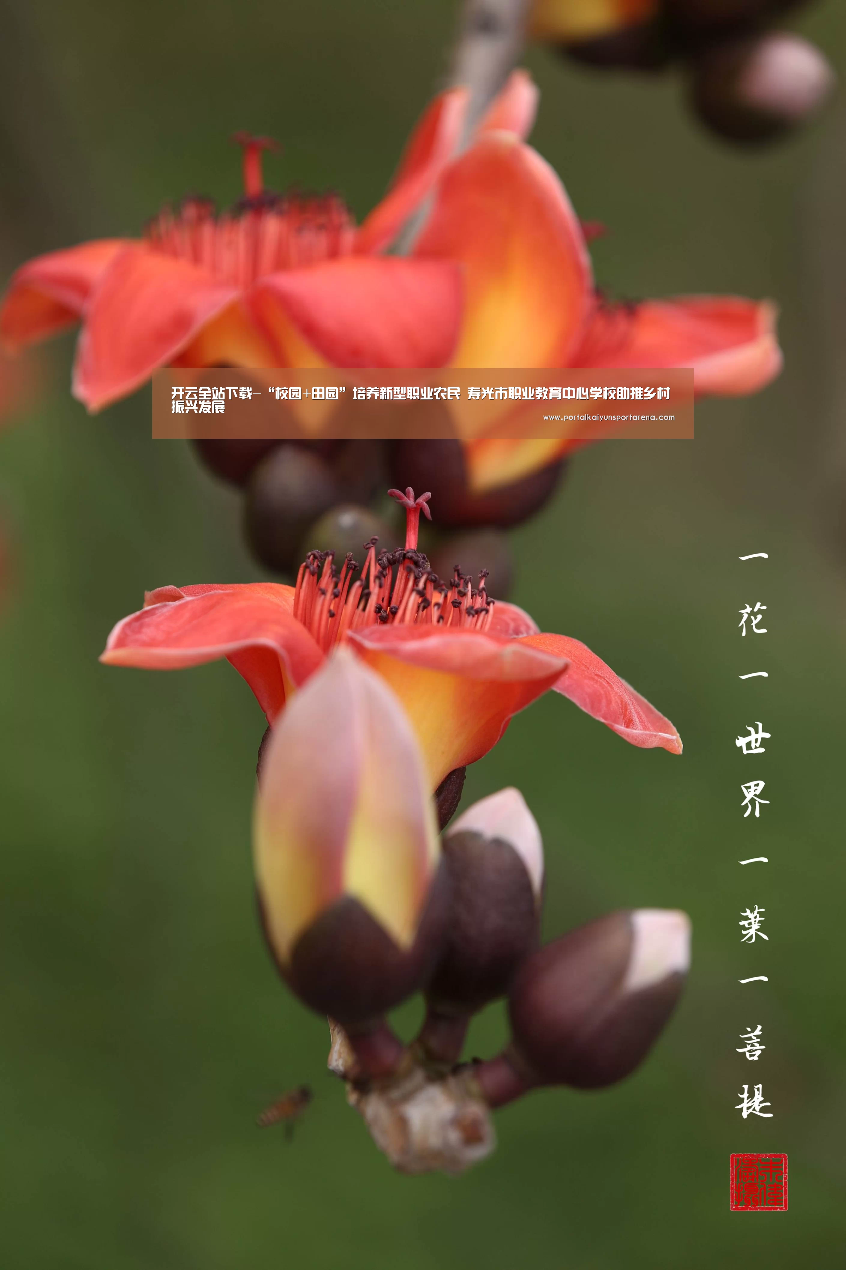 开云全站下载-“校园+田园”培养新型职业农民　寿光市职业教育中心学校助推乡村振兴发展