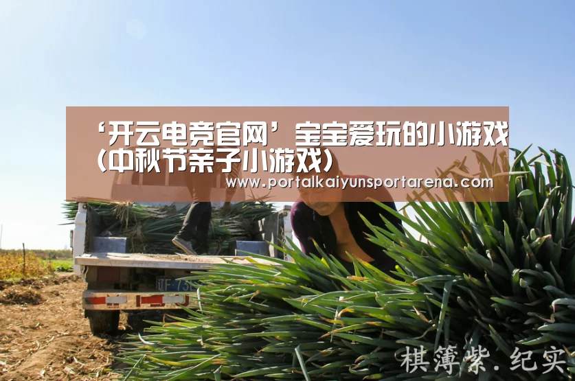 开云体育下载